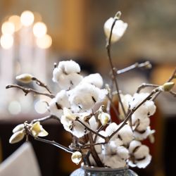  The Okura Tokyoの写真1枚目