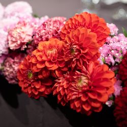  The Okura Tokyoの写真2枚目