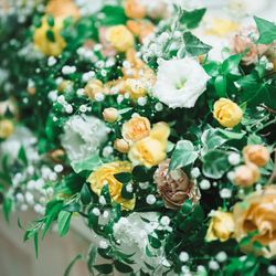 アヴァンセリアン大阪の写真15枚目