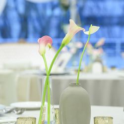 GRAN SUITEの写真2枚目