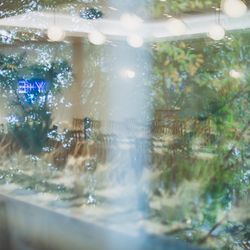 メゾン プルミエールの写真21枚目