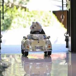 大宮璃宮の写真6枚目