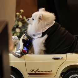 大宮璃宮の写真31枚目