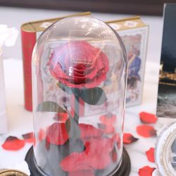 ニーズ神戸三宮 by T&G WEDDING の写真28枚目