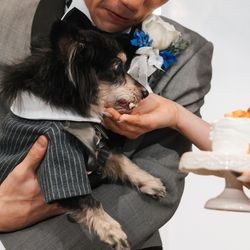 アニバーサリー アン 恵比寿の写真28枚目