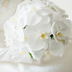 横浜迎賓館の写真13枚目