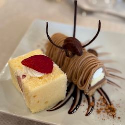 エレガンテヴィータの写真29枚目