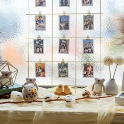 エレガンテヴィータの写真12枚目