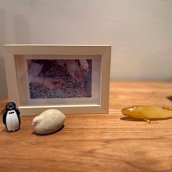 エレガンテヴィータの写真14枚目