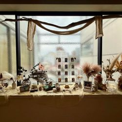 エレガンテヴィータの写真15枚目