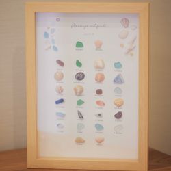 エレガンテヴィータの写真12枚目