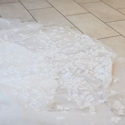 エレガンテヴィータの写真23枚目