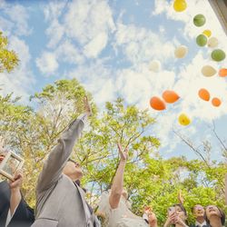 エレガンテヴィータの写真7枚目