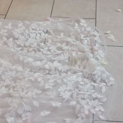 エレガンテヴィータの写真8枚目