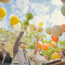 エレガンテヴィータの写真26枚目