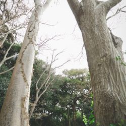 古我邸の写真21枚目