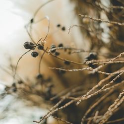 古我邸の写真2枚目