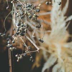 古我邸の写真33枚目