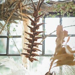 古我邸の写真15枚目