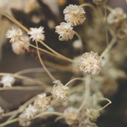 古我邸の写真6枚目