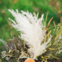 古我邸の写真18枚目