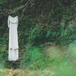 古我邸の写真26枚目