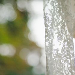 古我邸の写真10枚目