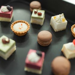 SOLA KOBEの写真21枚目