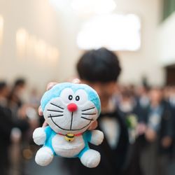 SOLA KOBEの写真24枚目