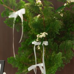 SOLA KOBEの写真3枚目