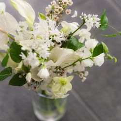 SOLA KOBEの写真28枚目