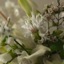 SOLA KOBEの写真33枚目