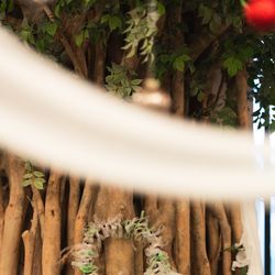 SOLA KOBEの写真4枚目