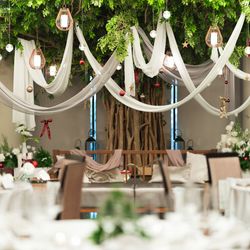 SOLA KOBEの写真31枚目