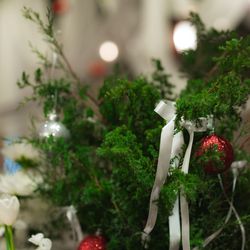 SOLA KOBEの写真36枚目