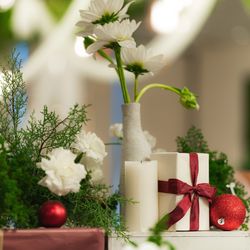 SOLA KOBEの写真15枚目