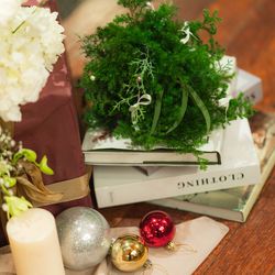 SOLA KOBEの写真16枚目