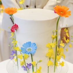 エレガンテヴィータの写真15枚目