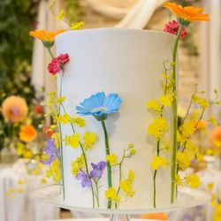 エレガンテヴィータの写真30枚目