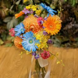 エレガンテヴィータの写真18枚目