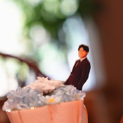 THE FOREST TERRACE KITAKYUSHU の写真17枚目