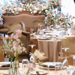 THE FOREST TERRACE KITAKYUSHU の写真9枚目