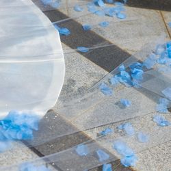 ノートルダムマリノアの写真27枚目