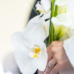 ノートルダムマリノアの写真26枚目