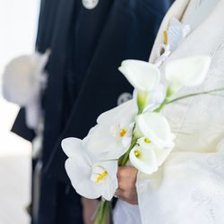 ノートルダムマリノアの写真33枚目