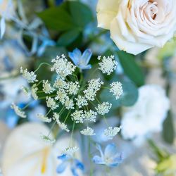 ノートルダムマリノアの写真27枚目