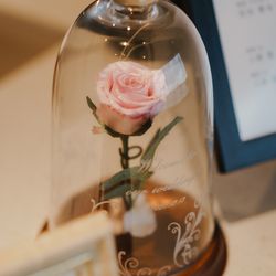 GRADATIONSの写真7枚目