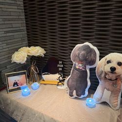 KOTOWA 京都 八坂の写真17枚目