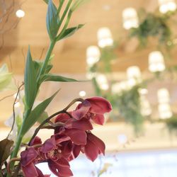 ザ・プレミアムレジデンス ラグナヴェール広島の写真30枚目