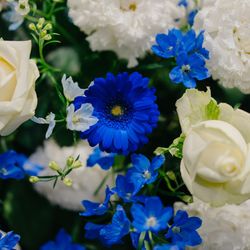 アニヴェルセル 表参道の写真20枚目